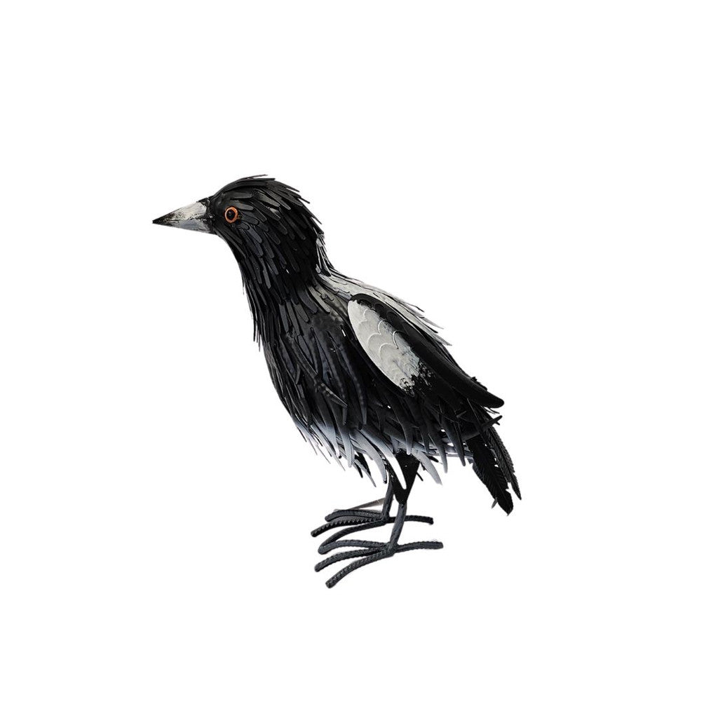 Standing Magpie