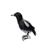 Standing Magpie