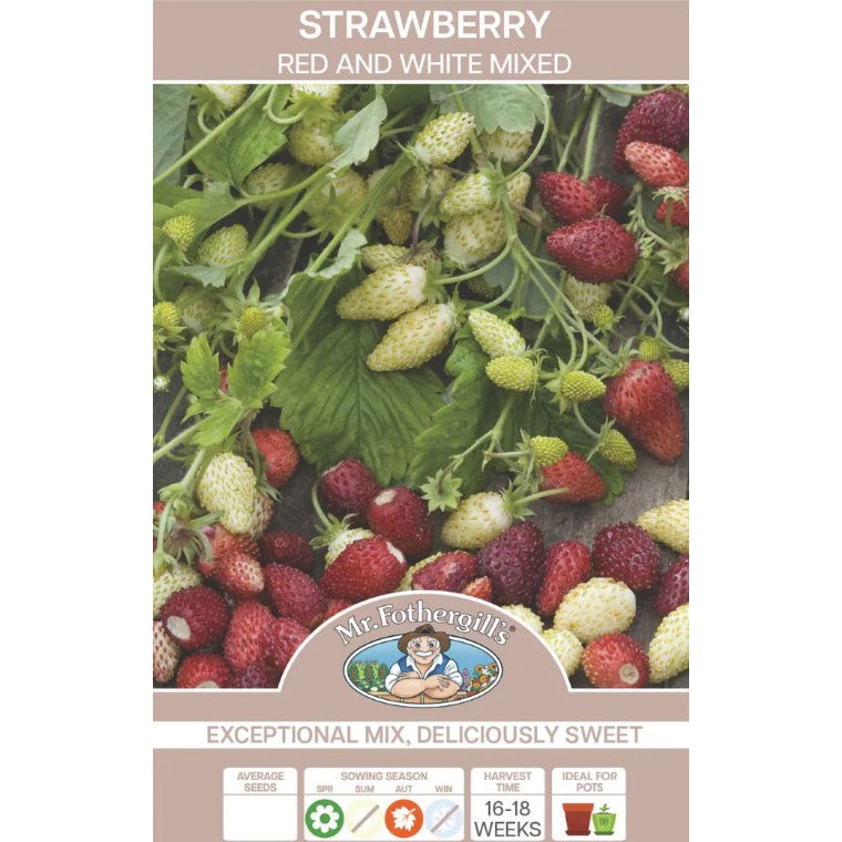Strawberry Red & White Seeds