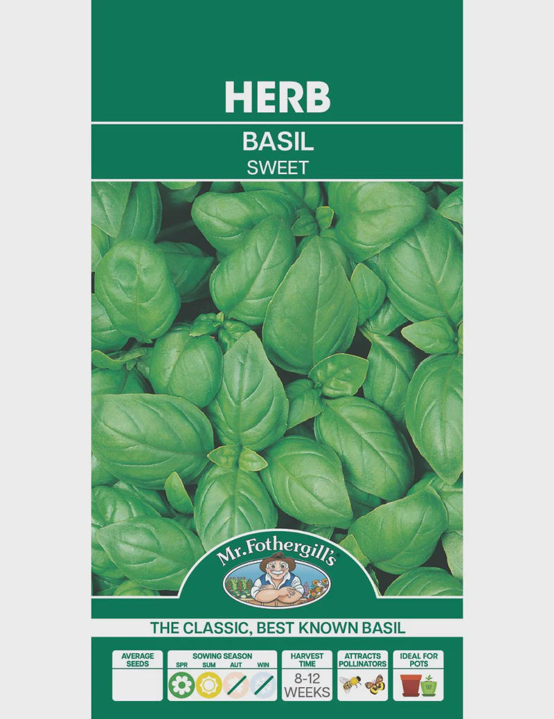 Basil Sweet Genovase Organic Seeds
