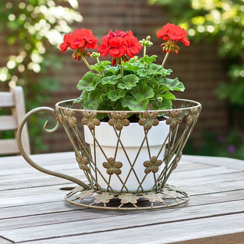 Teacup Planter