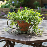 Teacup Planter