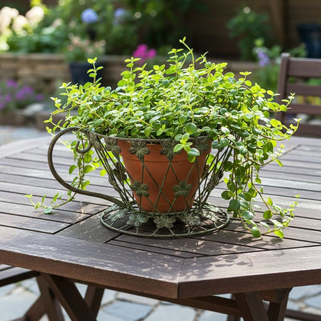 Teacup Planter