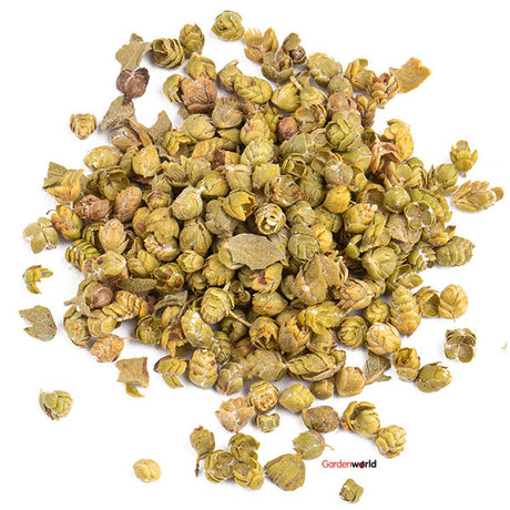 Thyme Seeds