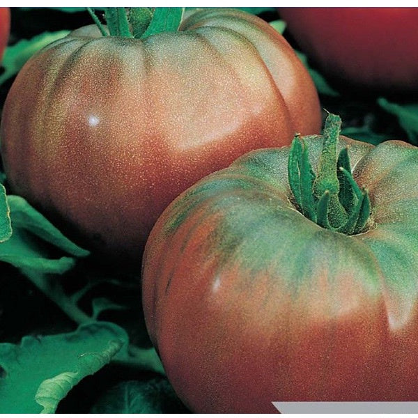 Tomato Black Krim Seeds