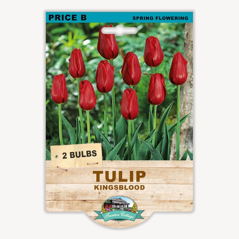 Tulip Kingsblood - 2 Bulbs