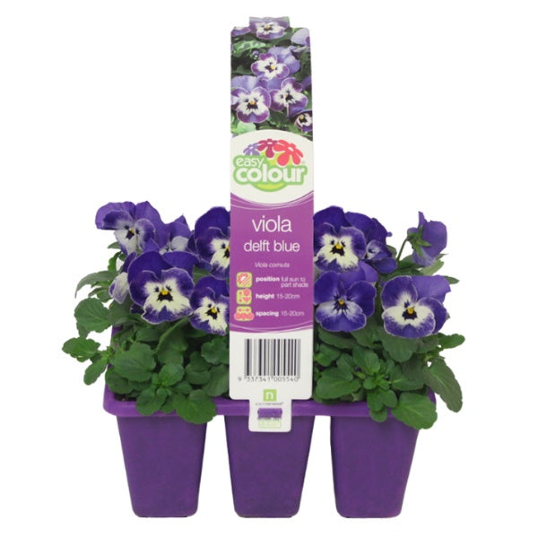Viola Delft Blue